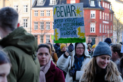 demo11