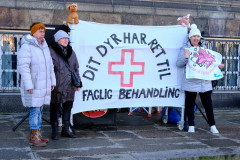 demo7