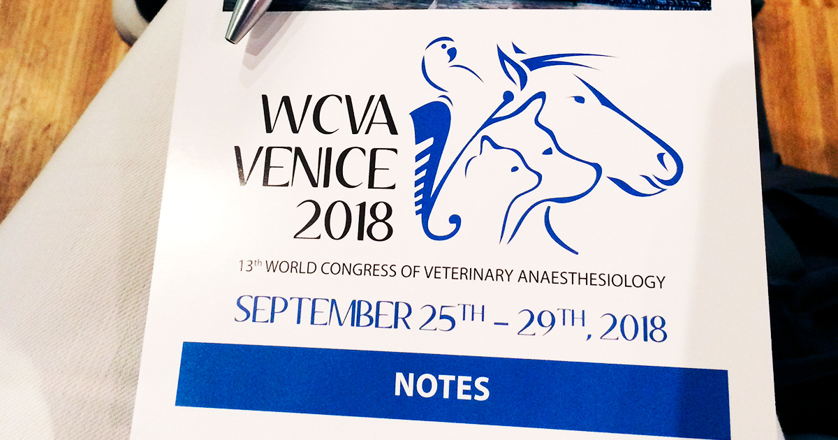 wcva-venice-2018_dyrlaegen