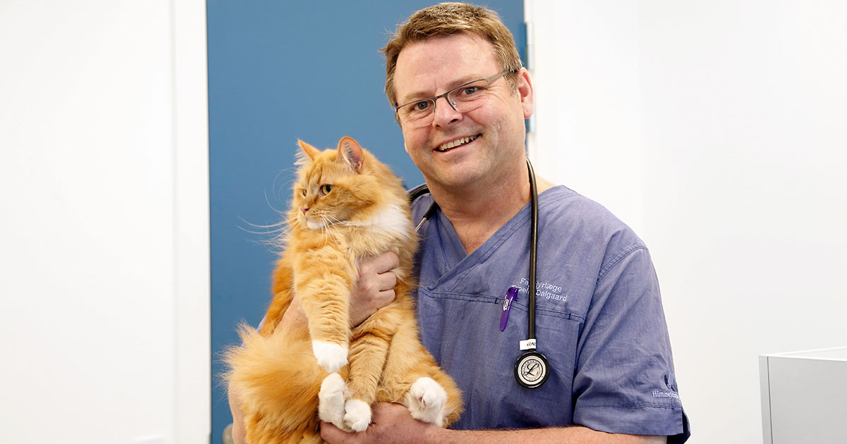 Dyreklinik nomineret til lokal erhvervspris