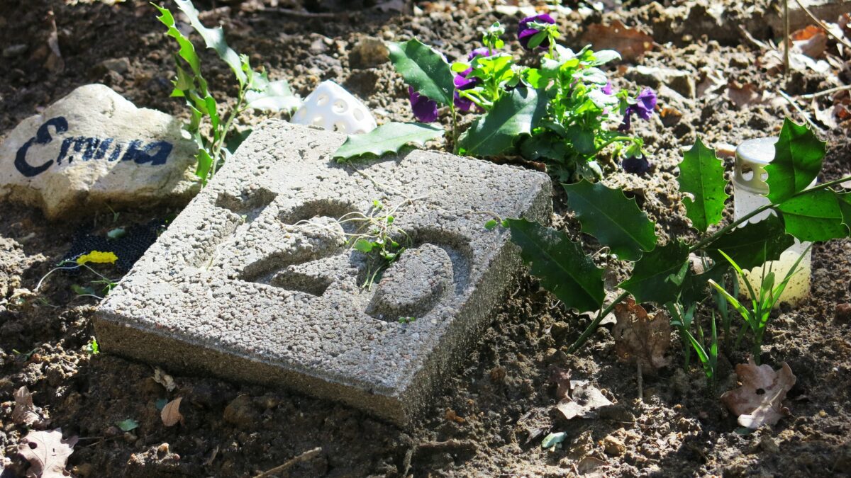 dyregravpladser_i_danmark_dyrlaegen_fagmagasinet