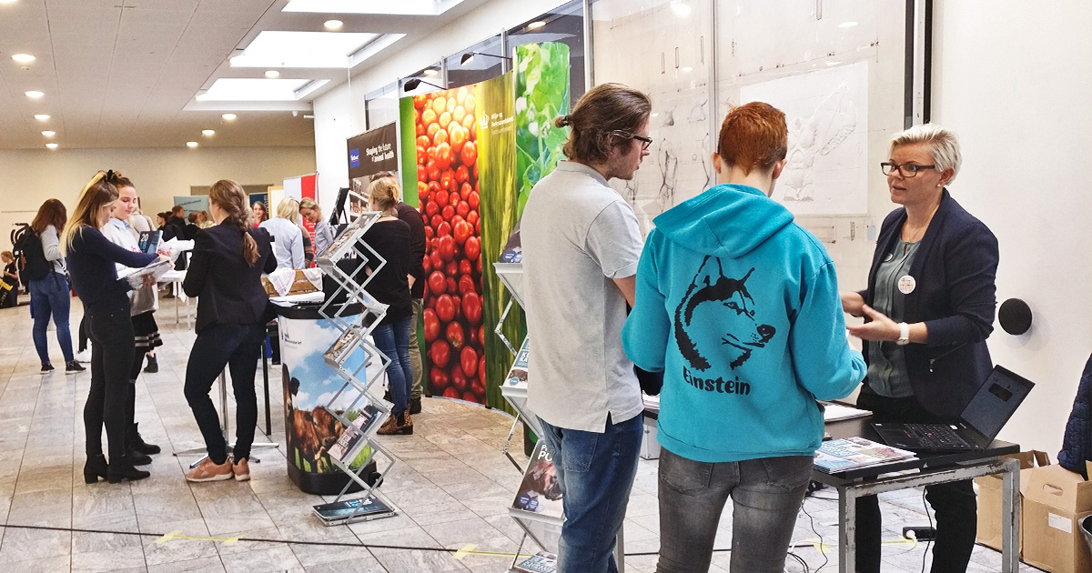 vmt_input_fagmagasinet_dyrlaegen