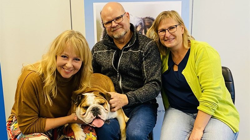Danmarks 2019 | Hunden Churchill hyldet for heltemod » Læs her