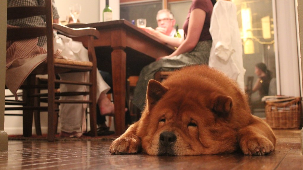 Millionbevilling til nyt dansk forskningscenter