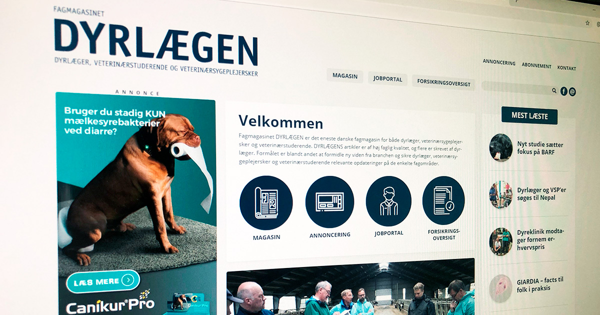 Målret din online annoncering mod dyrlæger