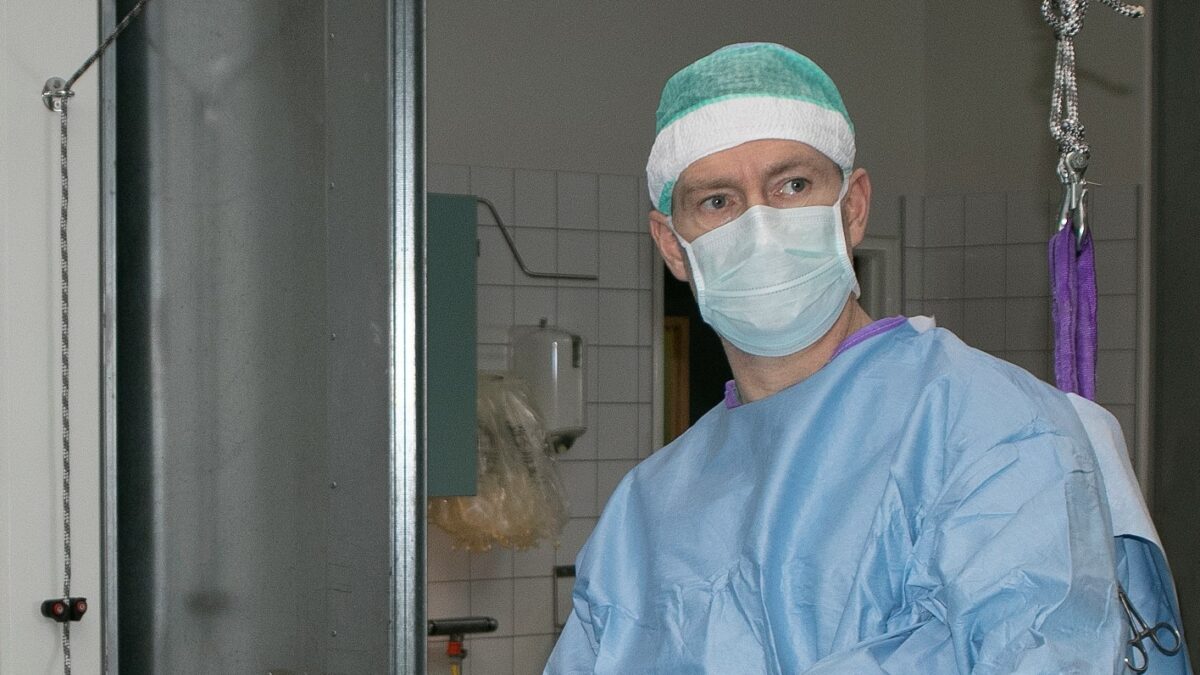 Verdenskendt hesteforsker ny professor ved Københavns Universitet