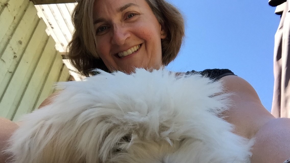 Adfærdsdyrlægen - dyrlæge hjælper angste hunde og katte