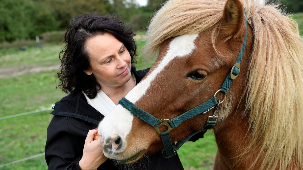 27.11.2020: En veterinær i industrien | DYRLÆGEN.nu