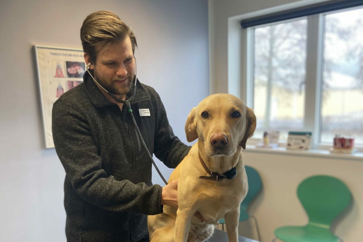09.03.2021: VETgruppen vækster massivt på Fyn | DYRLÆGEN.nu