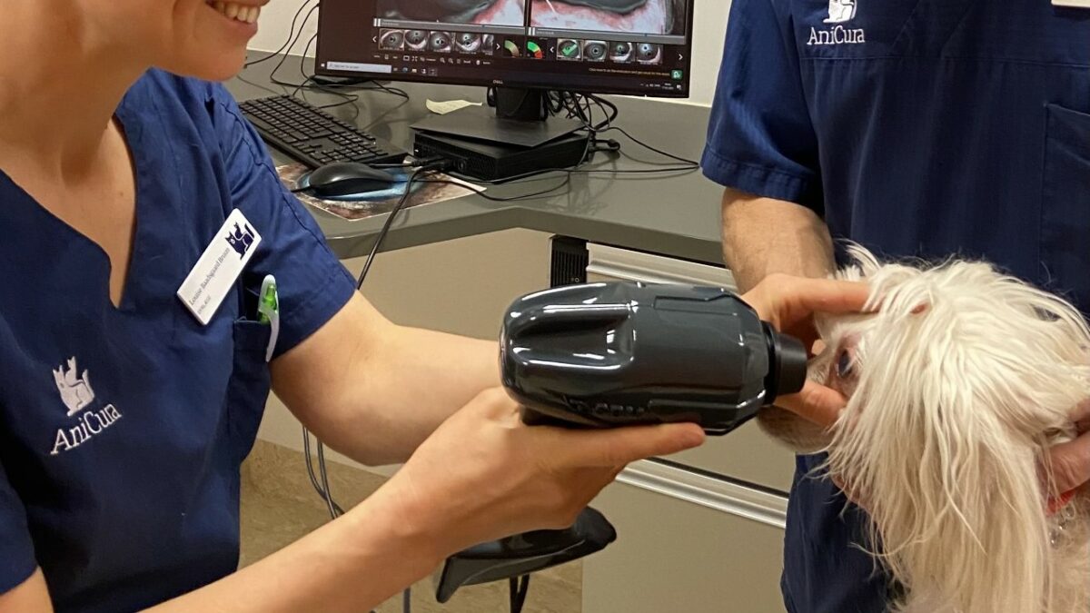 21.04.2021: Øjets overfladesygdomme | DYRLÆGEN