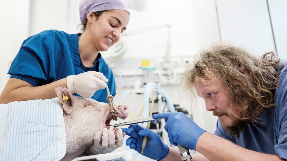 Forskning er den helt store passion | Fagmagasinet DYRLÆGEN