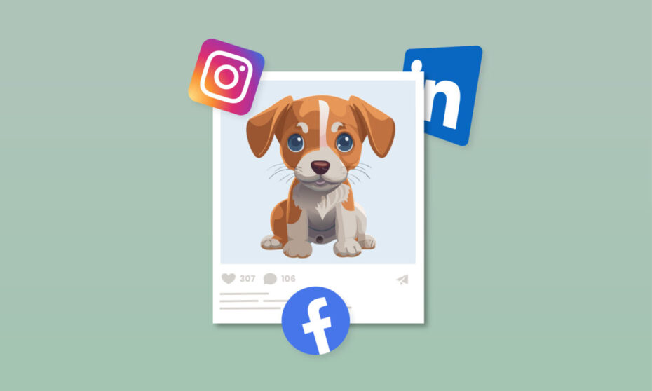 sociale medier er den uundværlige partner til din dyreklinik