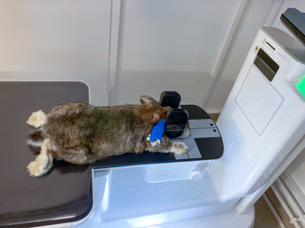 CBCT-scanner giver bedre diagnostik og behandling