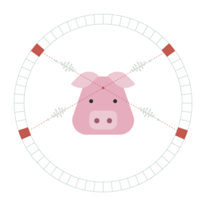 Figur 1:PET-skanning af grisehjerne.Ved henfald af isotopen afgives en positron, som i vævet møder en elektron. Ved disses annihilation afgives to fotoner i en vinkel på 180 grader, og det er disse, som PET-skanneren registrerer (de rødmarkerede detektorblokke).