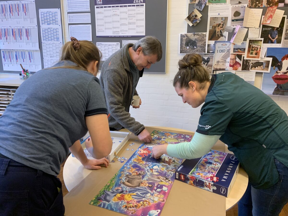 Vestjyske Dyrlæger har indført puslespil i frokostrummet, som giver medarbejderne en chance for at slappe af uden forstyrrelser