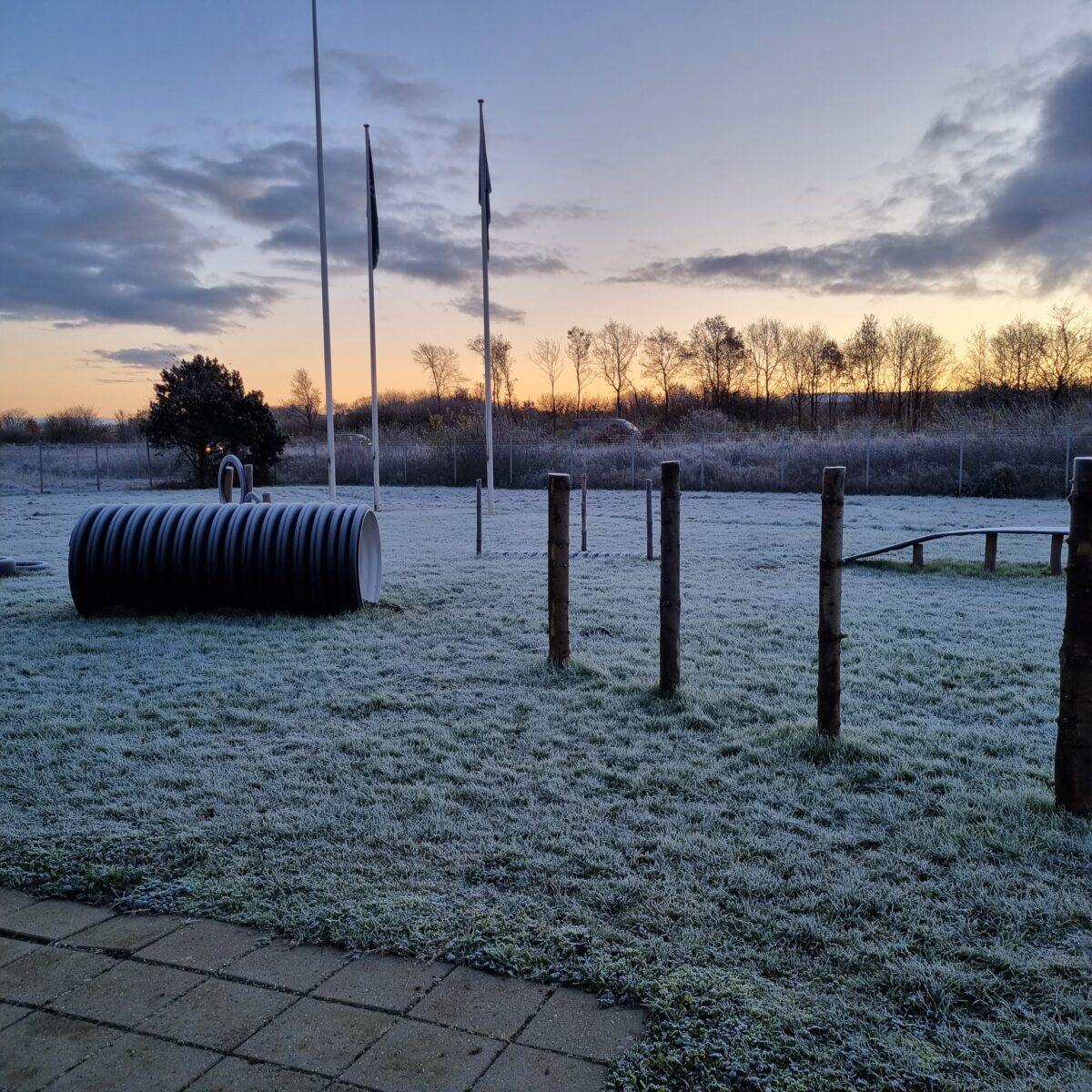 Foran Eickemeyerhar praktikanter opført en hundebane, som bruges flittigt af de ansatte og deres firbenede venner.