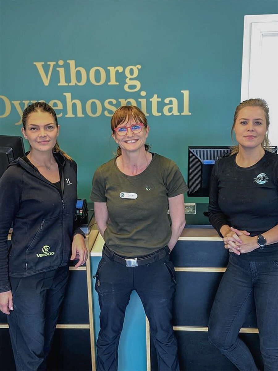 ’Jo mere vi hver især kan nørde inden for vores felt, jo stærkere står vi sammen’, er det fælles mantra for Helle Laustsen, Rikke Fast og Maria Henriksen.