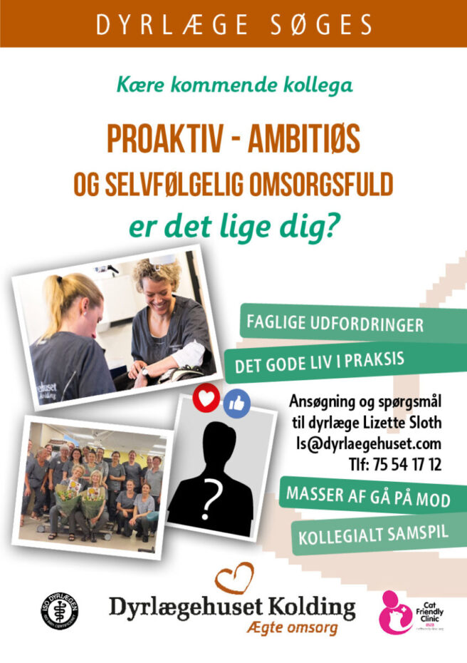 Dyrlæge søges