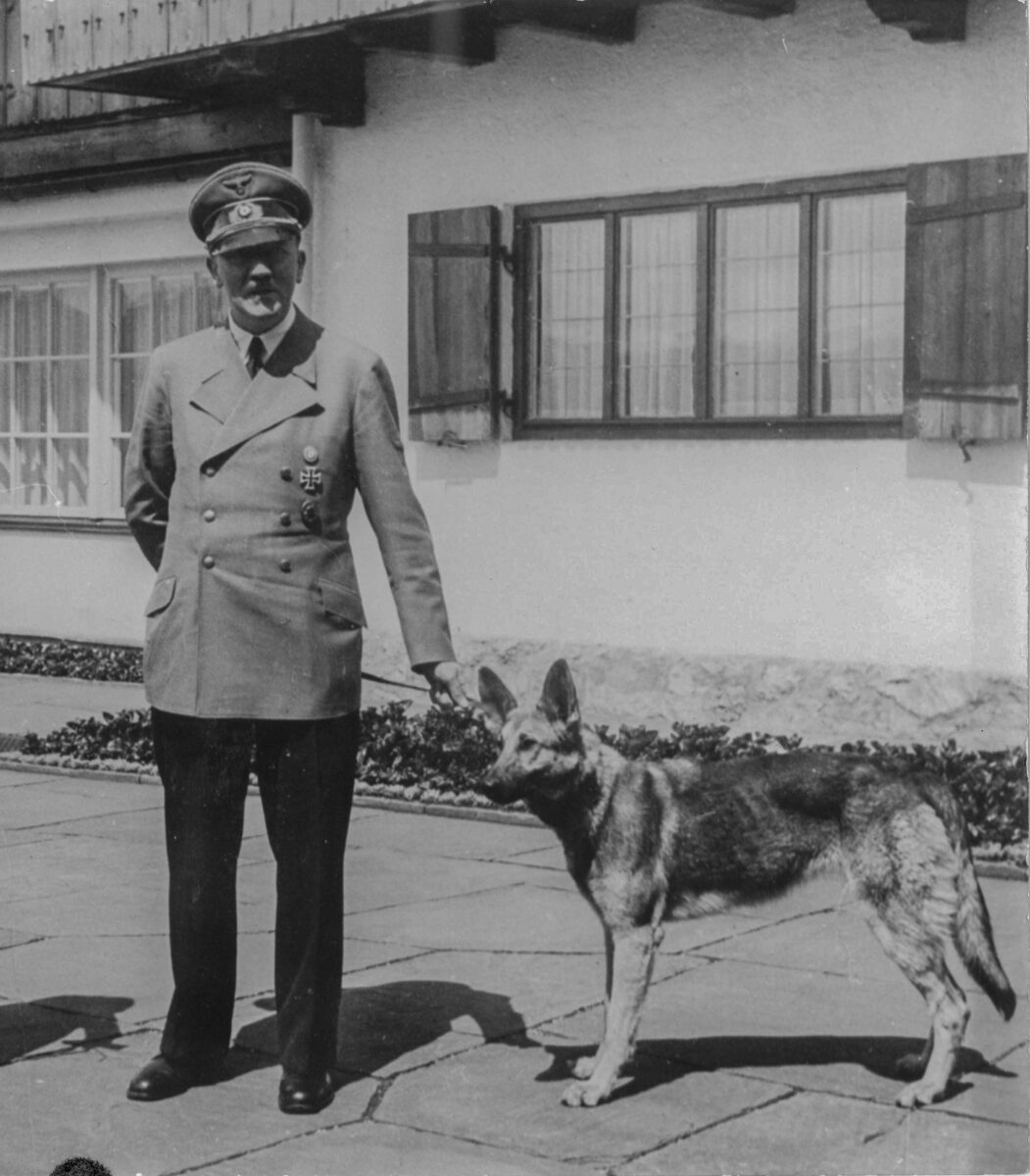 Adolf Hitler med sin hund Blondi i Berghof i 1942. Han elskede at træne med sine hunde. Foto: Bundesarchiv, Bild 146-1973-010-38, Adolf Hitler and Blondi at the Berghof, CC BY-SA 3.0 DE.