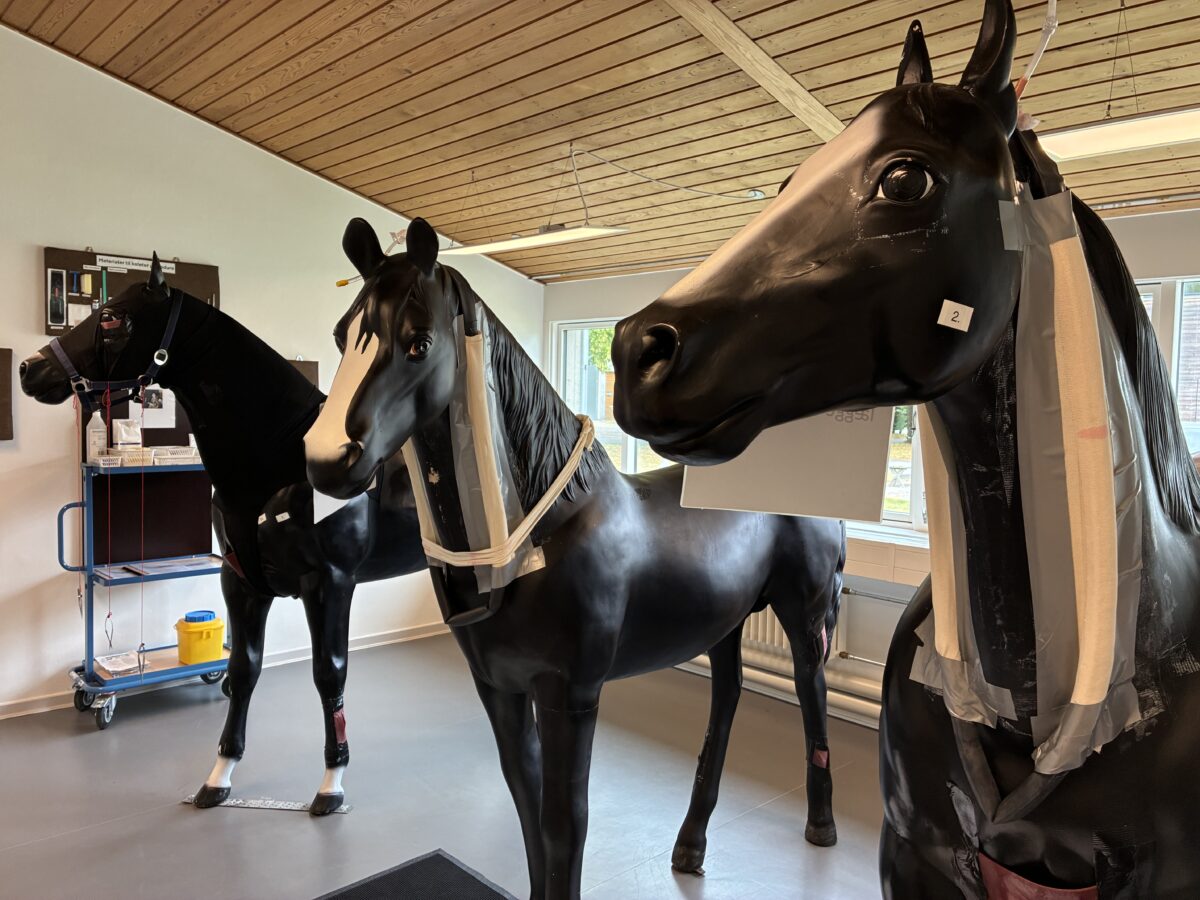 De studerende kan øve sig gentagne gange i et kontrolleret miljø, indtil proceduren sidder sikkert.