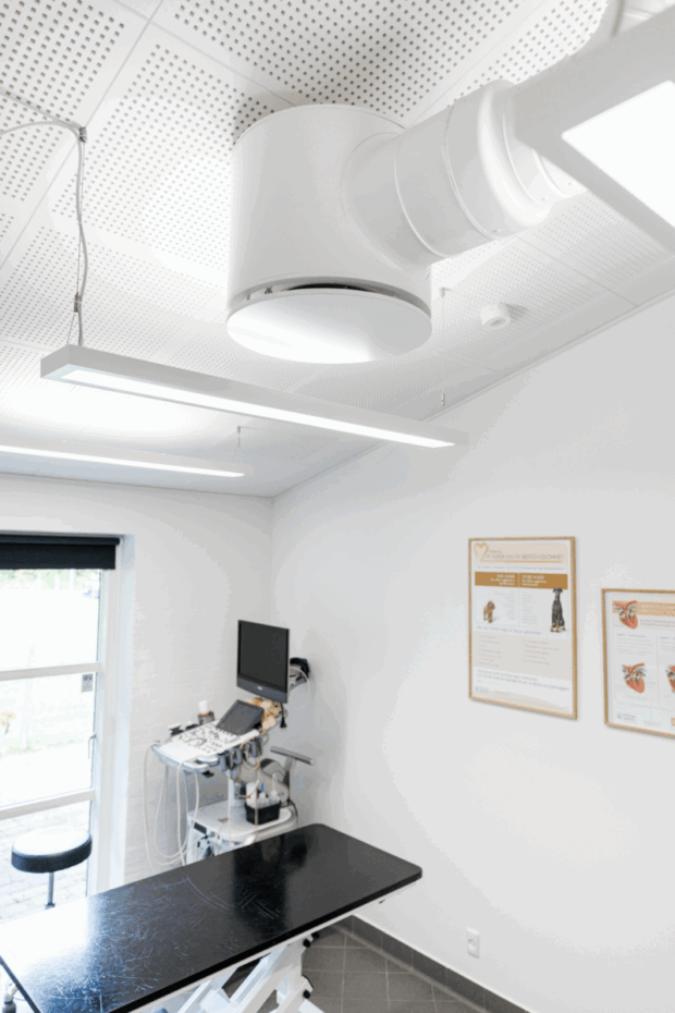 For Maribo Dyrehospital handler en ansvarlig klinik om tiltag, der giver mening i hverdagen – både for patienter og medarbejdere.