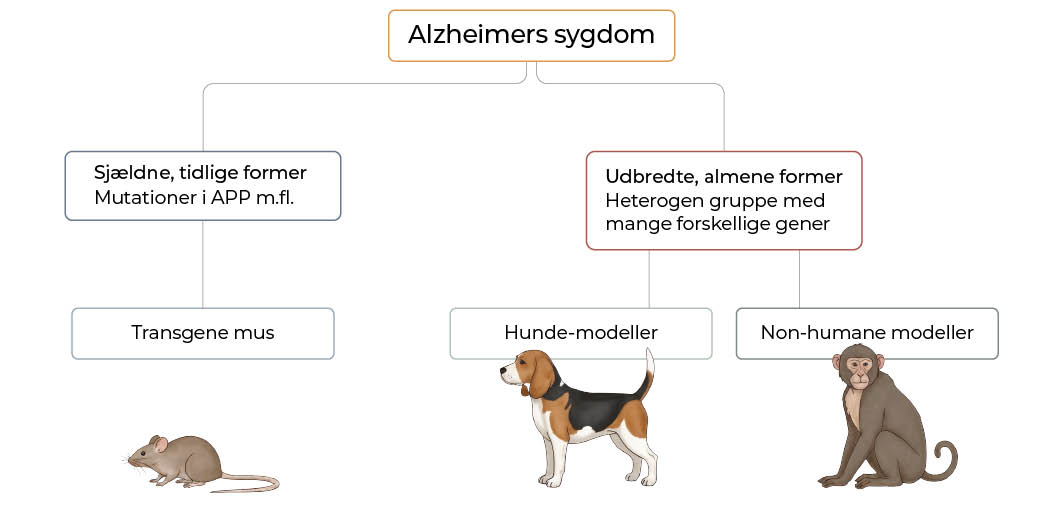 Dyrlægen